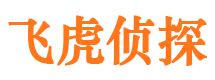 玛纳斯侦探公司